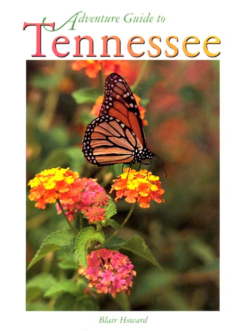Title details for Adventure Guide to Tennessee by Blair Howard - Available
